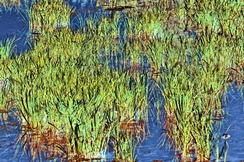 N 144A